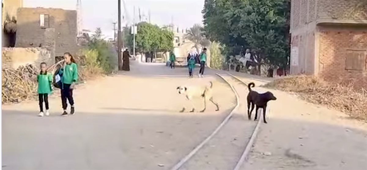 معاناة تلاميذ نجع عليو