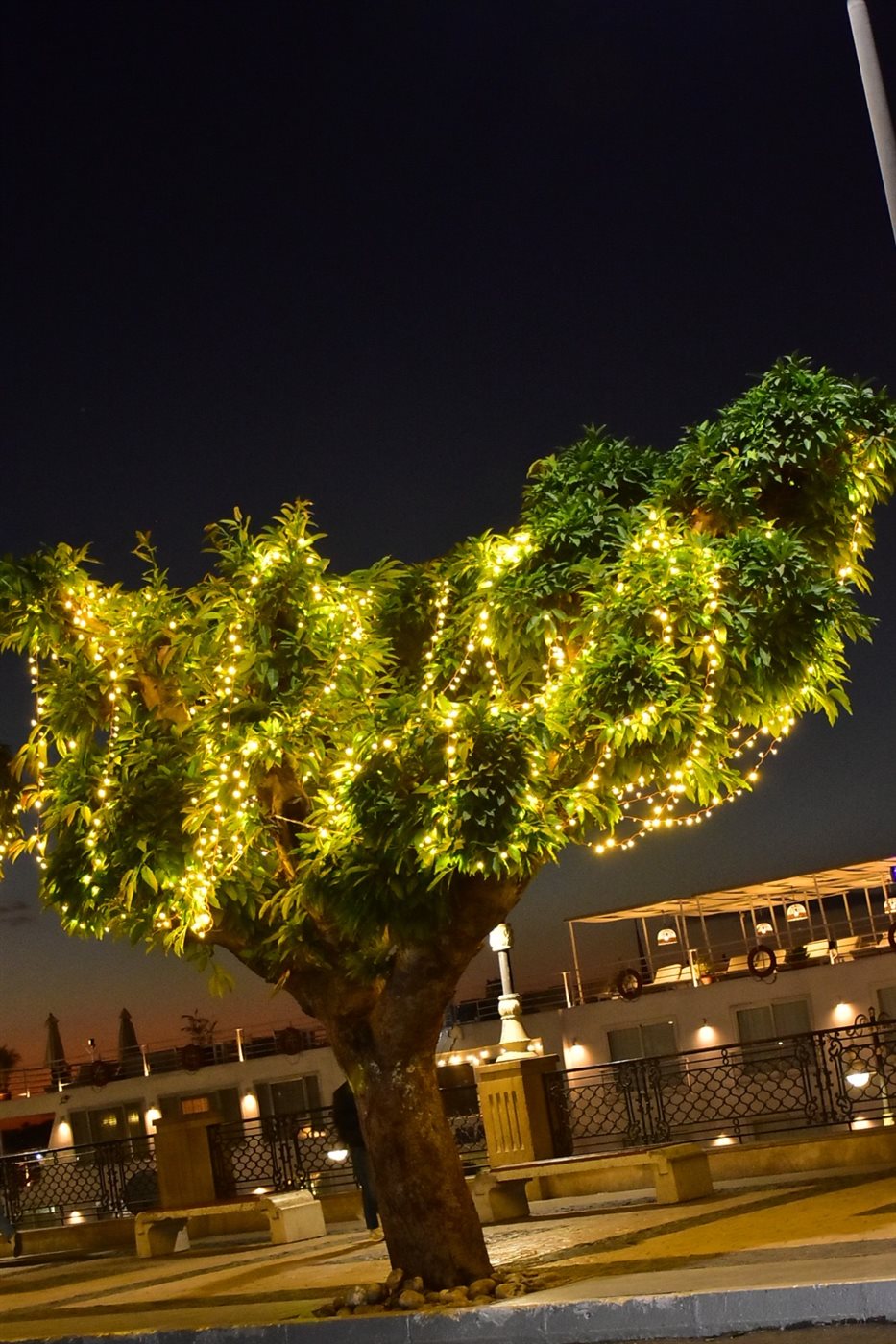 الأقصر تتزين للأعياد&nbsp;