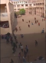 القبض على مالكي الخيول الهاربة داخل مدرسة في بولاق الدكرور