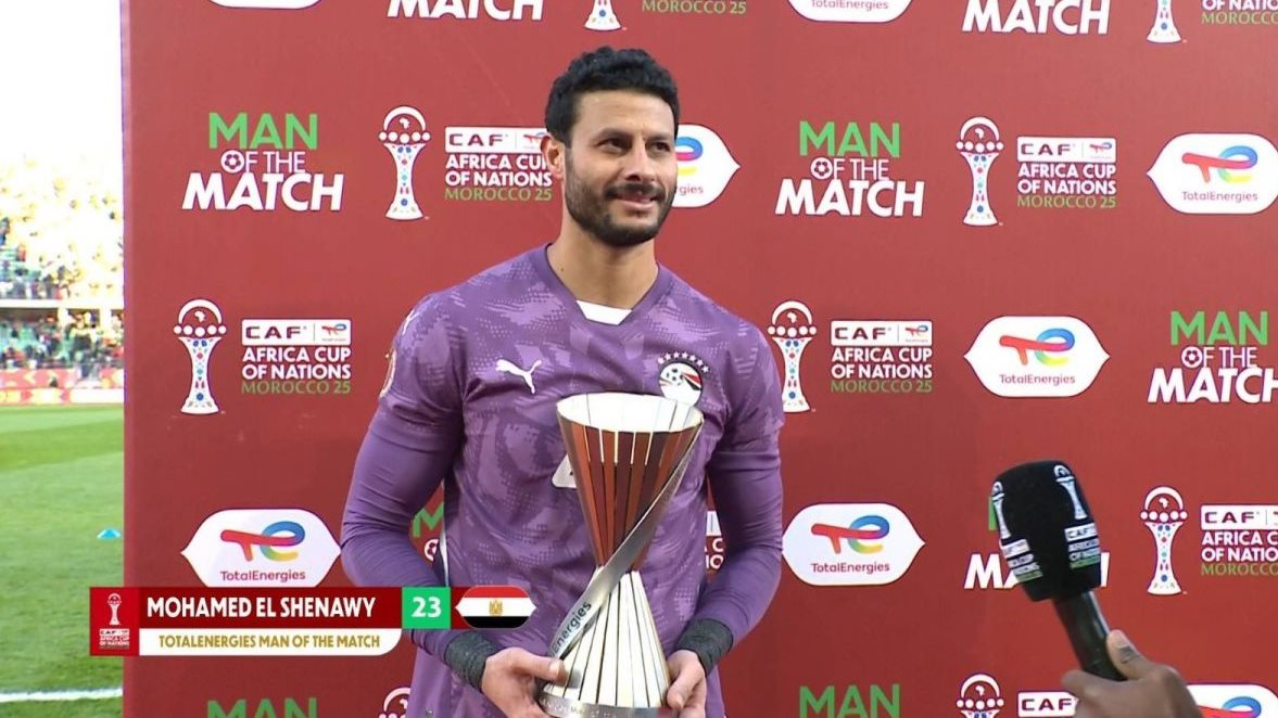 محمد الشناوي&nbsp;