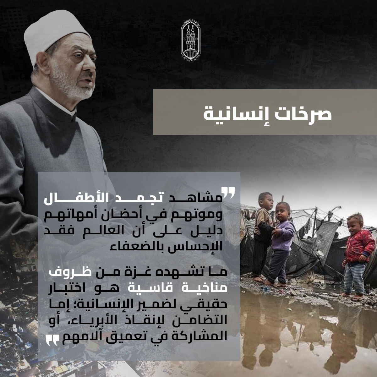 فضح أئمة التطبيع ورفض قاطع للتهجير.. جهود&nbsp;شيخ الأزهر في دعم القضية الفلسطينية والتعريف بمعاناة أبرياء غزة خلال عام 2025