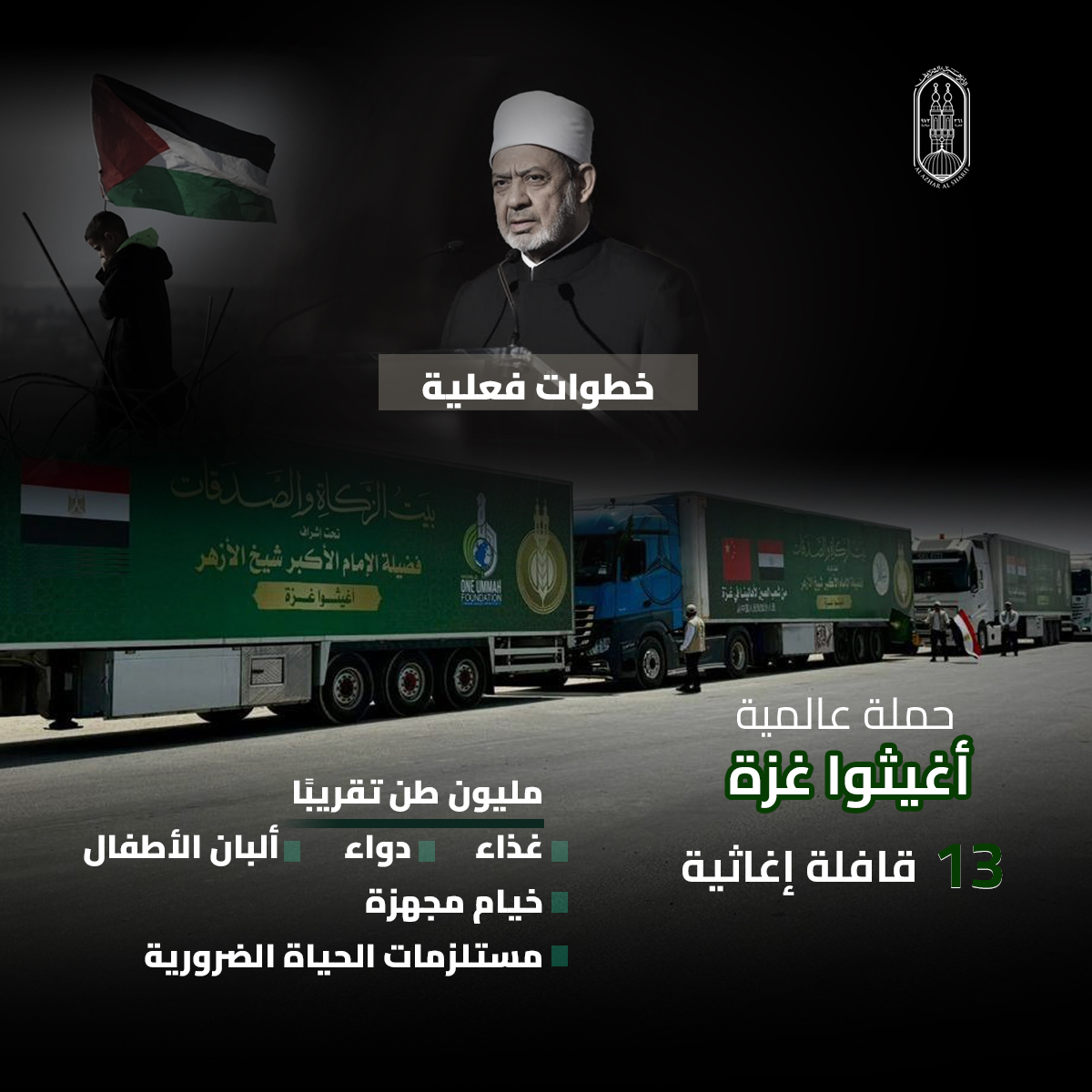 فضح أئمة التطبيع ورفض قاطع للتهجير.. جهود&nbsp;شيخ الأزهر في دعم القضية الفلسطينية والتعريف بمعاناة أبرياء غزة خلال عام 2025