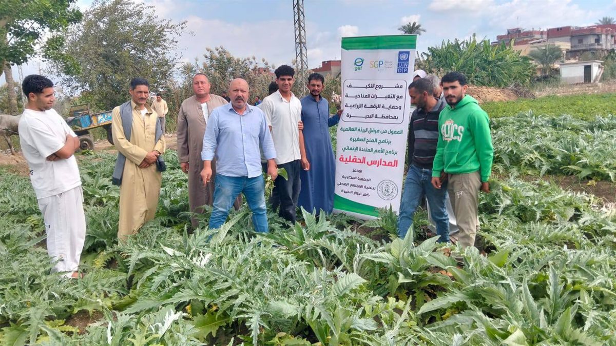 مدارس حقلية للتكيف مع التغيرات المناخية لزيادة انتاجية الخرشوف