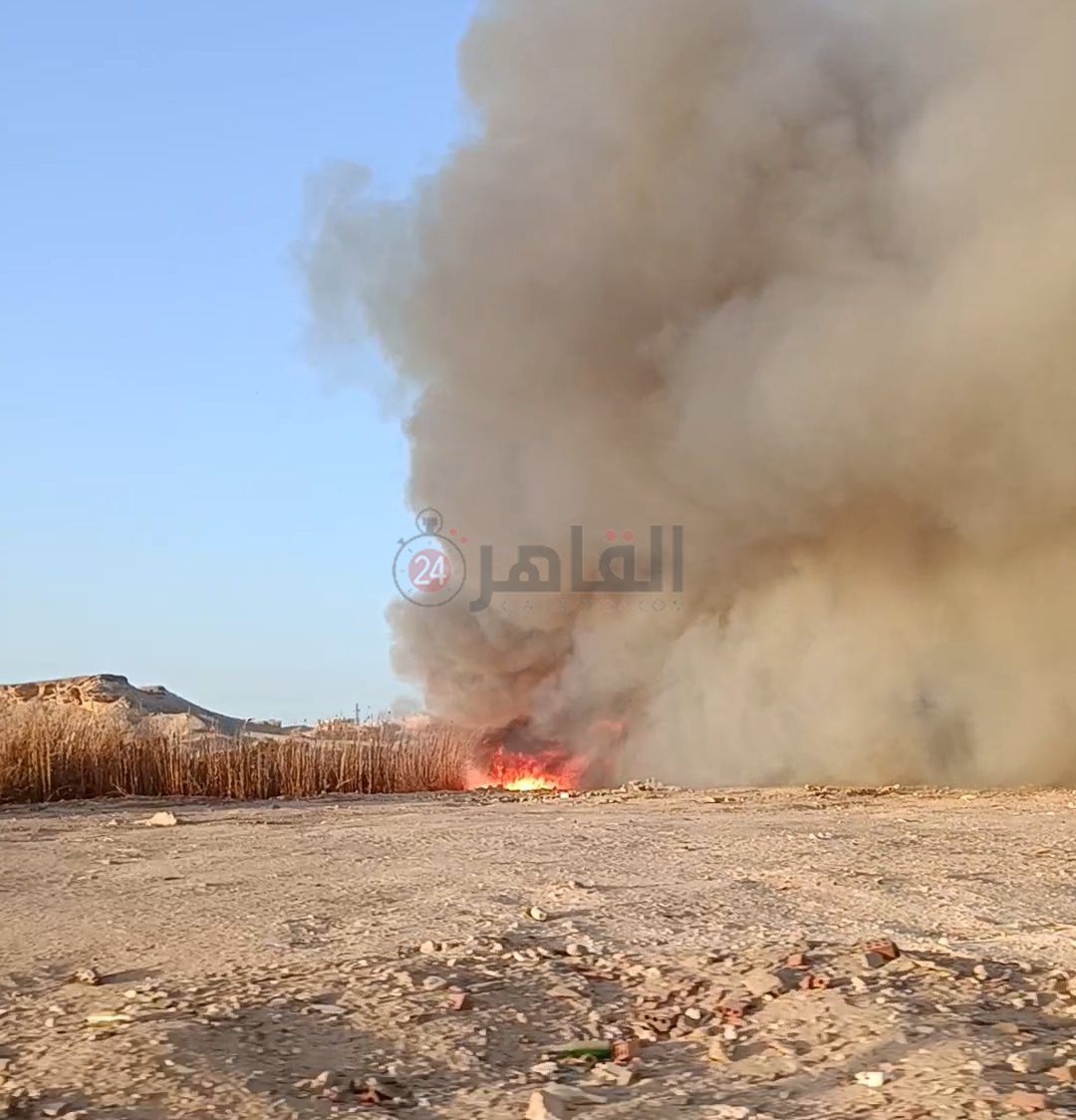 جانب من الحريق 