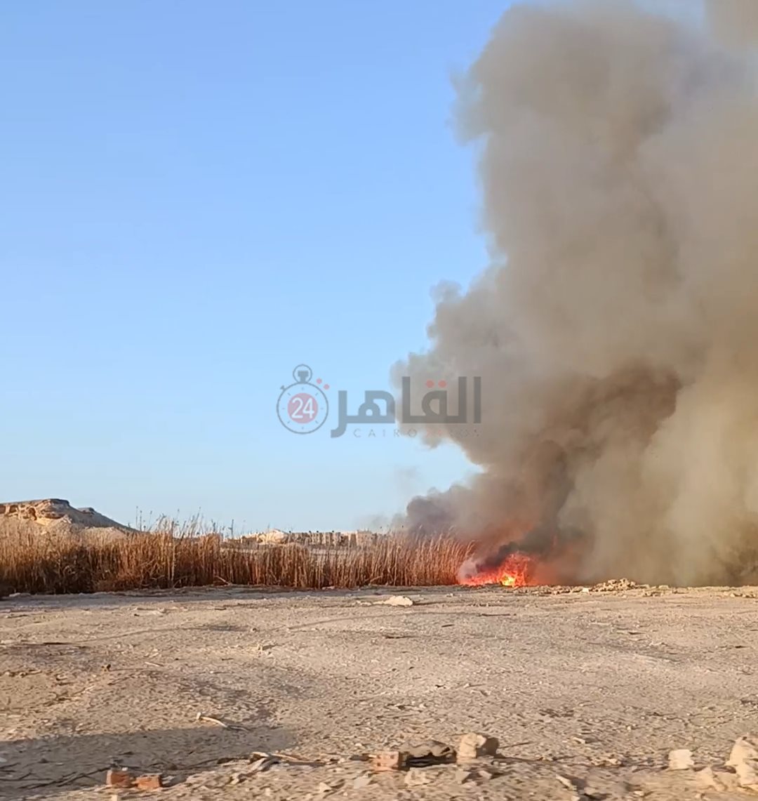 جانب من الحريق 