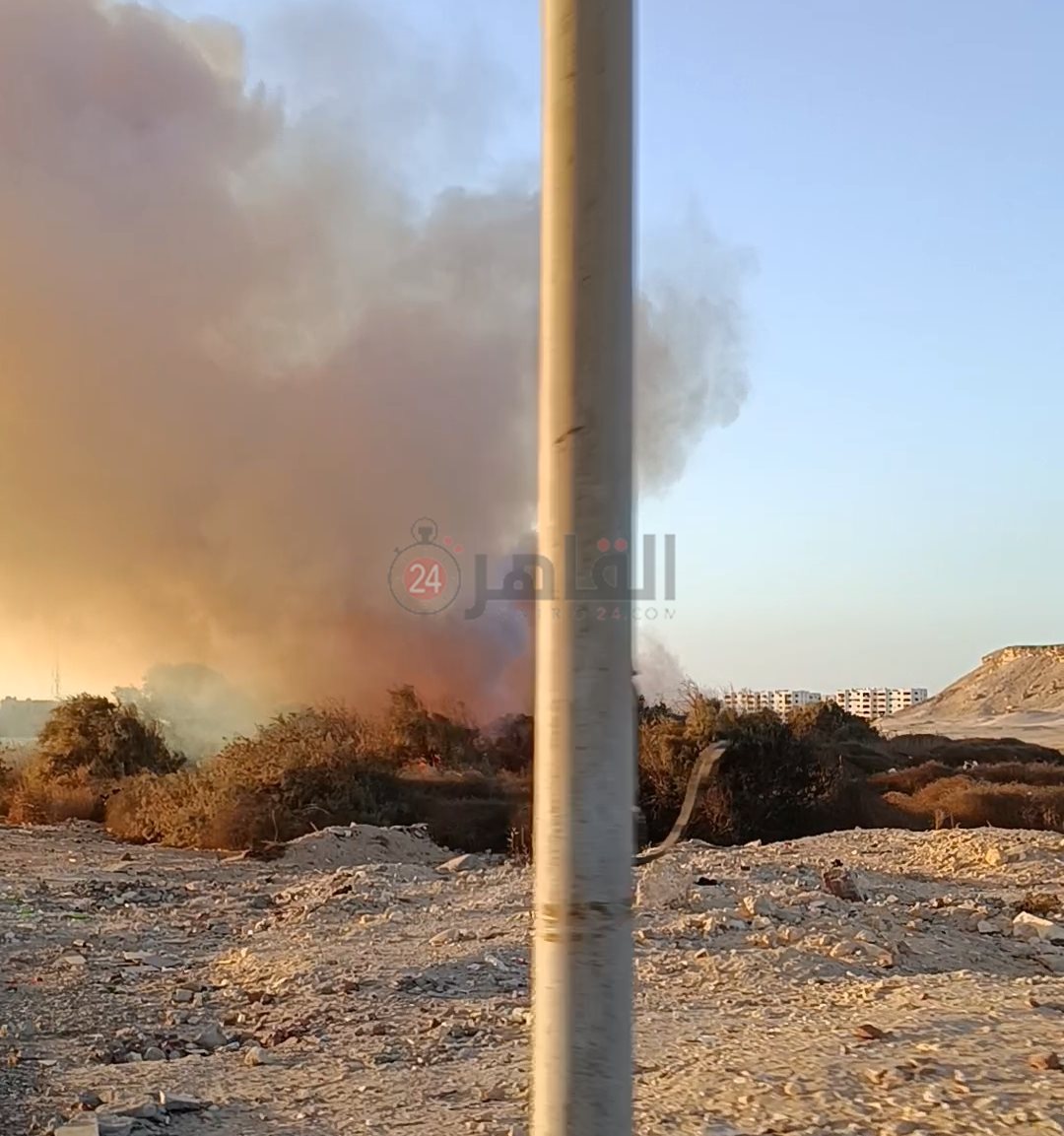 جانب من الحريق 