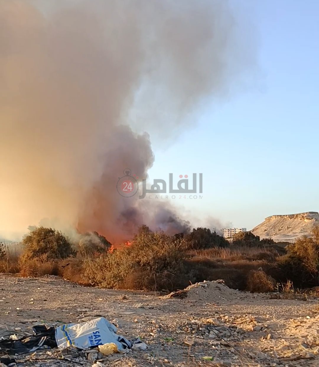 جانب من الحريق 