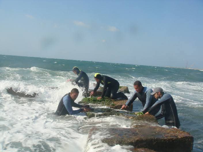 جانب من أعمال البحث&nbsp;