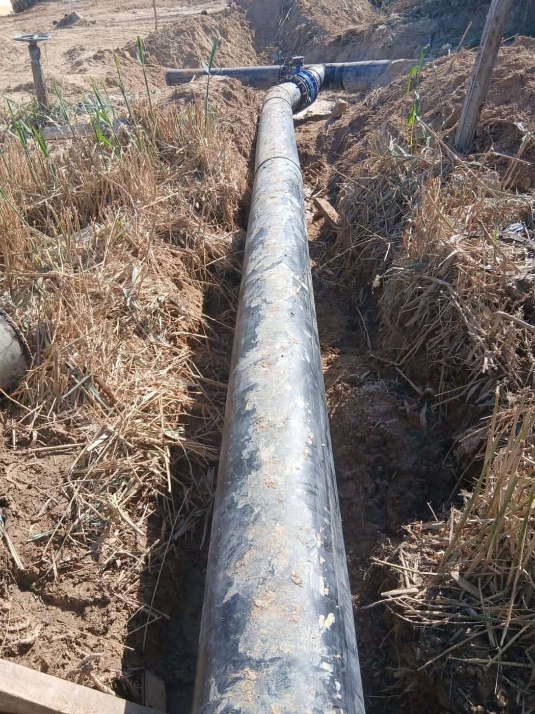 ربط المعالجة الثلاثية بالغابة الشجرية بالغردقة 