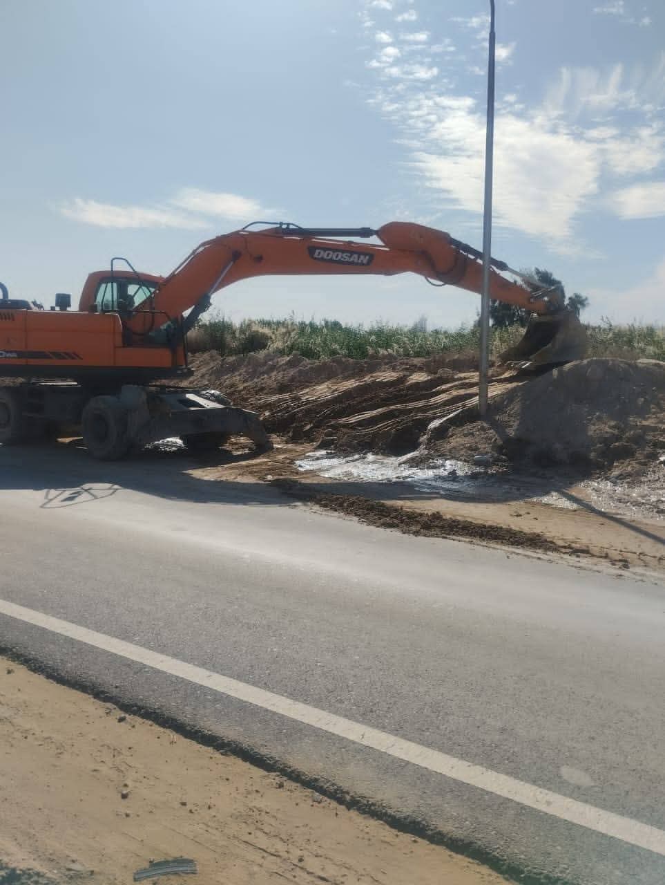 ربط المعالجة الثلاثية بالغابة الشجرية بالغردقة 