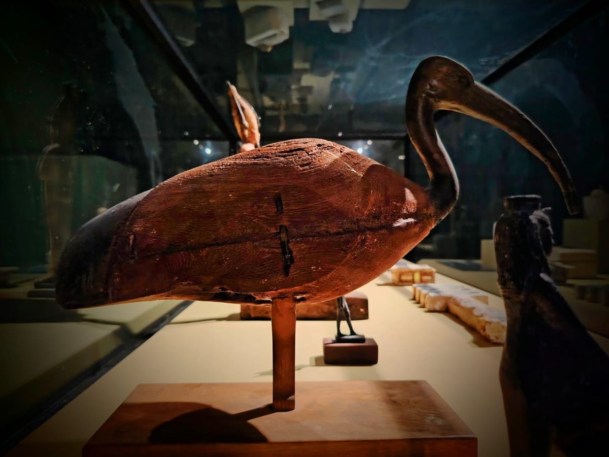 القطع الأثرية النادرة المختارة