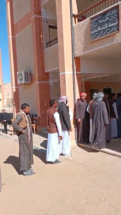 لجان الانتخابات في الوادي الجديد