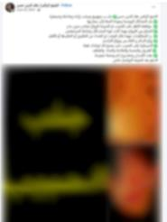 جانب من المنشورات