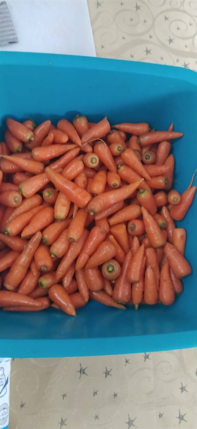 طريقة عمل مربى الجزر بالصور