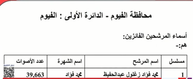 <strong>نتيجة الـ 19 دائرة الملغاة بالمرحلة الأولى لانتخابات النواب&nbsp;</strong>