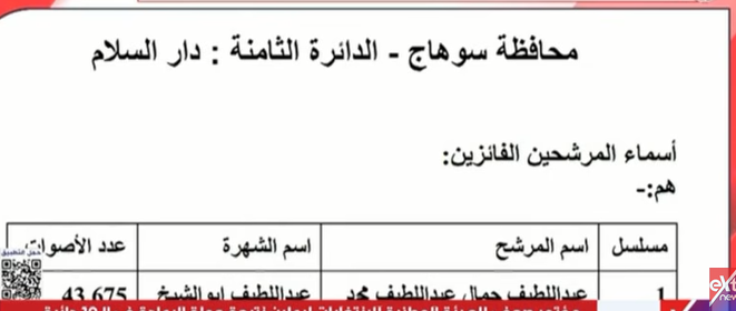 <strong>نتيجة الـ 19 دائرة الملغاة بالمرحلة الأولى لانتخابات النواب&nbsp;</strong>