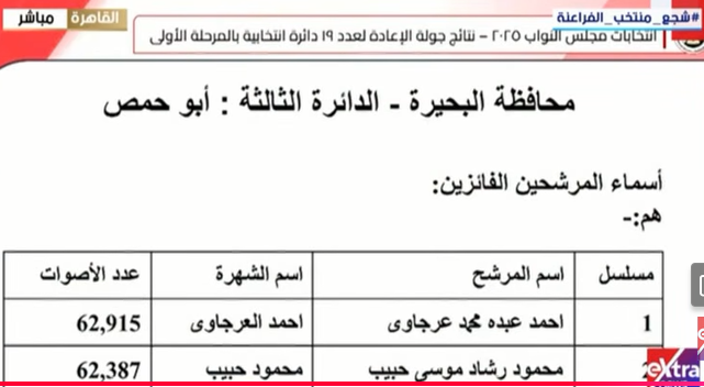 <strong>نتيجة الـ 19 دائرة الملغاة بالمرحلة الأولى لانتخابات النواب&nbsp;</strong>