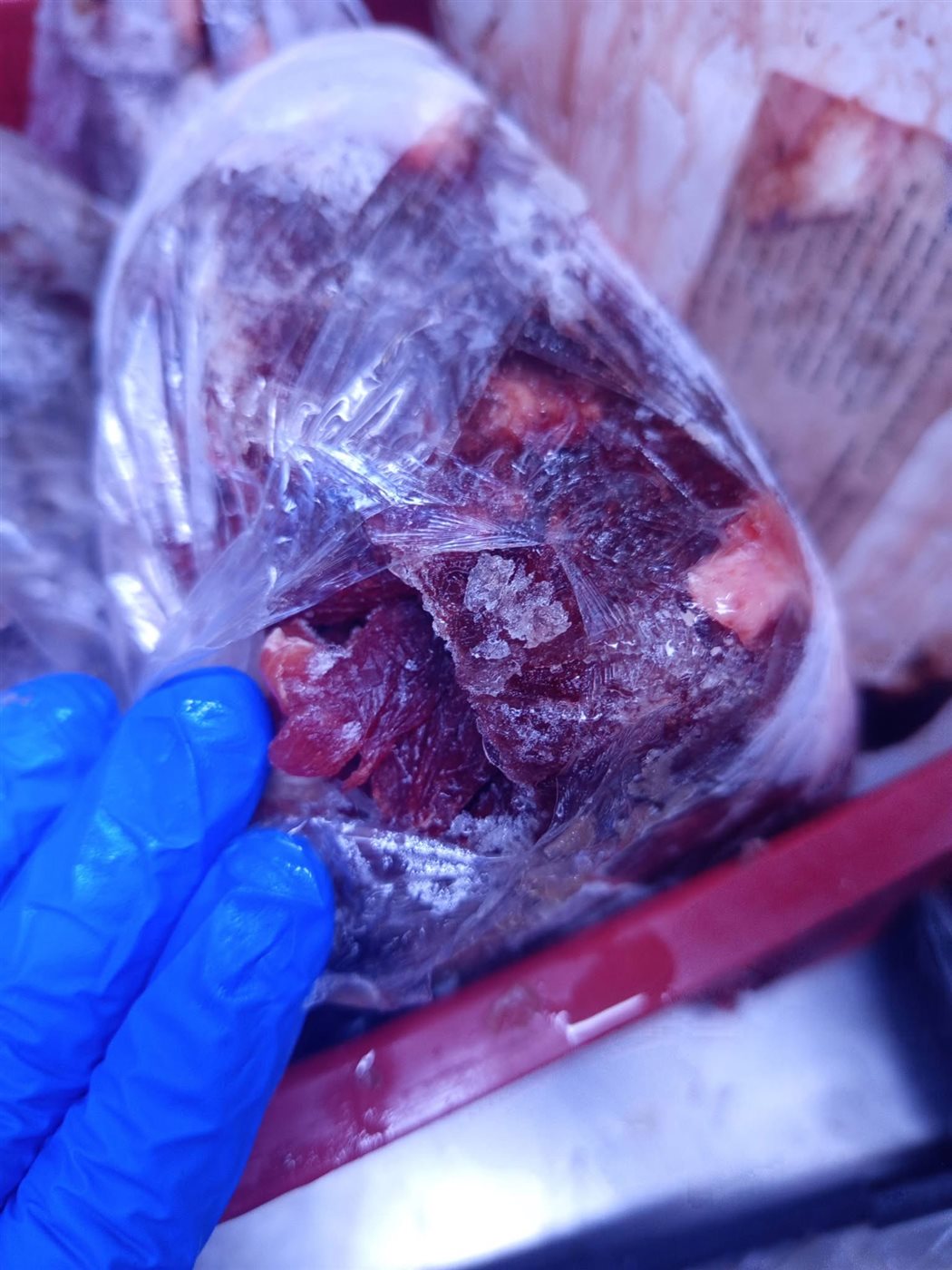 ضبط لحوم فاسدة بالأقصر