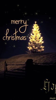 صور عيد الميلاد المجيد 2026