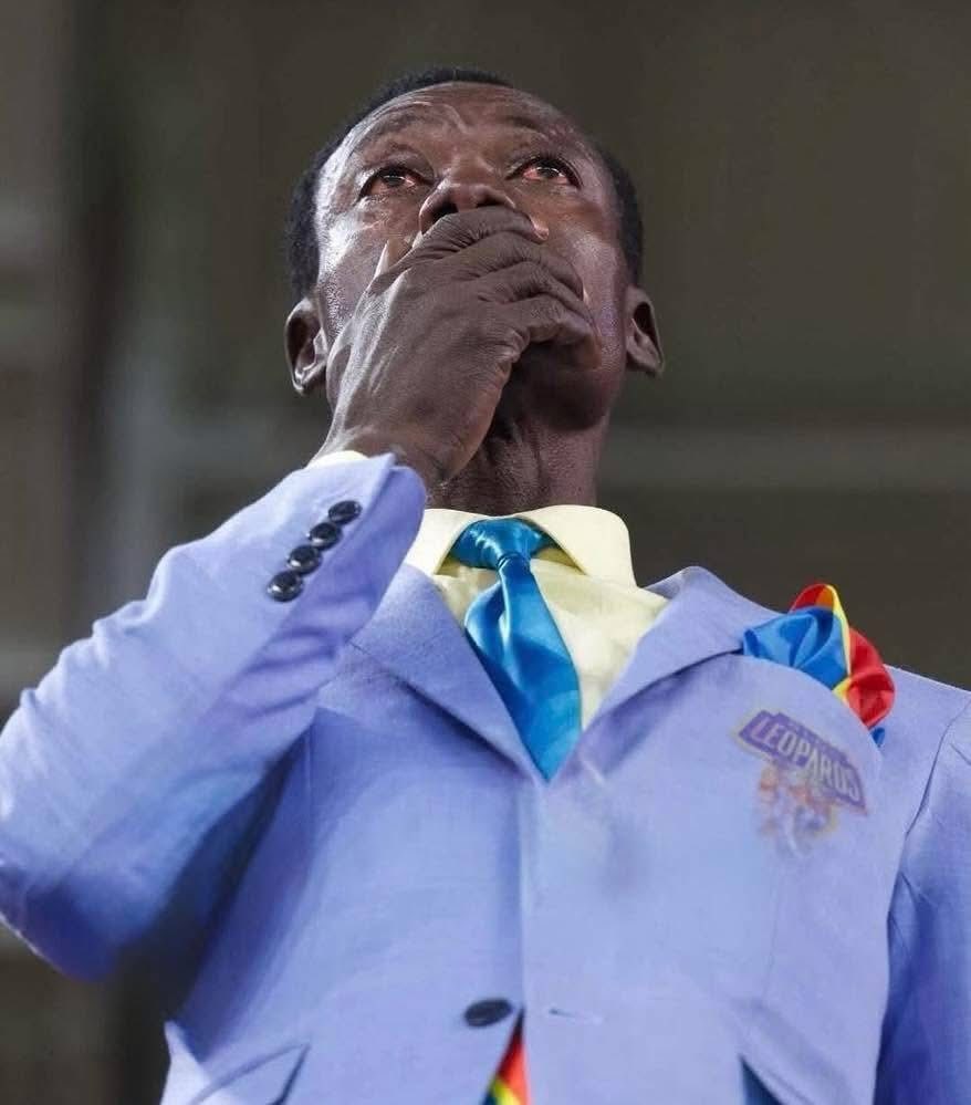 مشجع الكونغو الديمقراطية