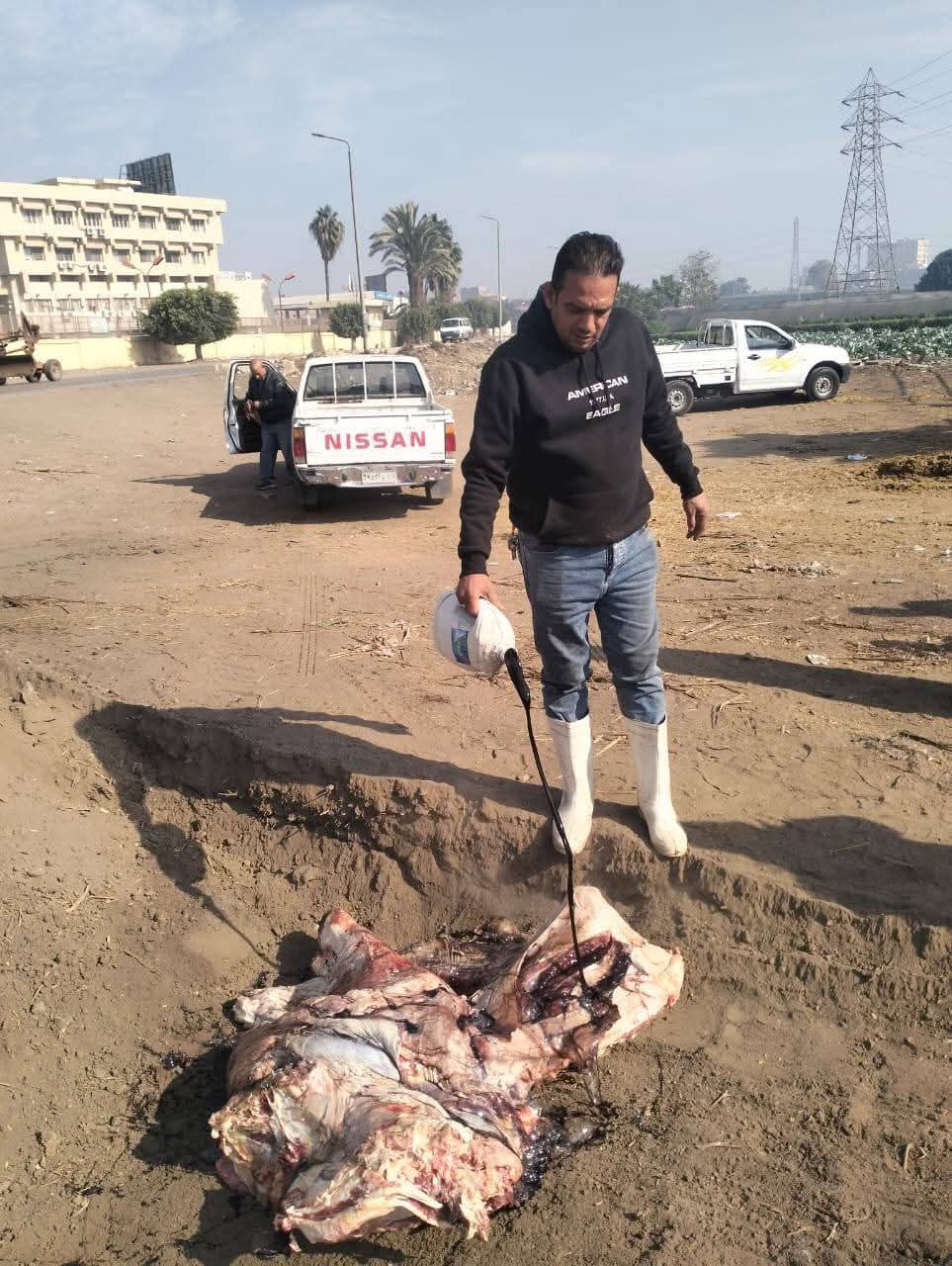 الذبيحة غير الصالحة للاستهلاك الآدمي