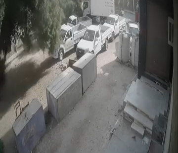 سقوط شجرة ضخمة بأحد شوارع الغردقة 