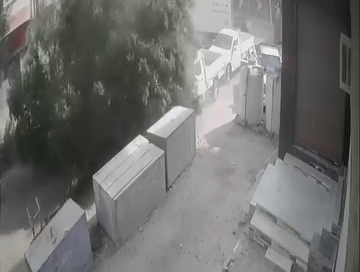 سقوط شجرة ضخمة بأحد شوارع الغردقة 