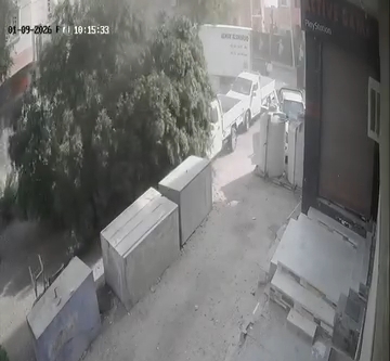 سقوط شجرة ضخمة بأحد شوارع الغردقة 