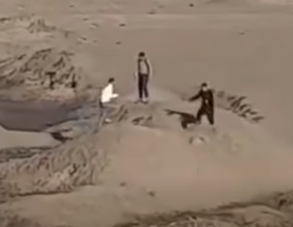 <strong>فيديو لإلقاء مجموعة شباب كلب في المياه ببورسعيد</strong>