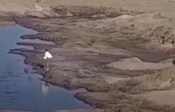 <strong>فيديو لإلقاء مجموعة شباب كلب في المياه ببورسعيد</strong>