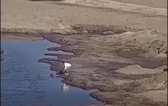 <strong>فيديو لإلقاء مجموعة شباب كلب في المياه ببورسعيد</strong>