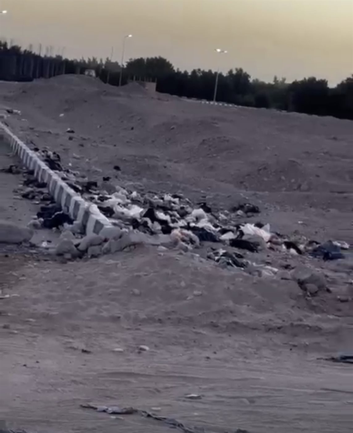 غياب تام لصناديق القمامة بالمدينة