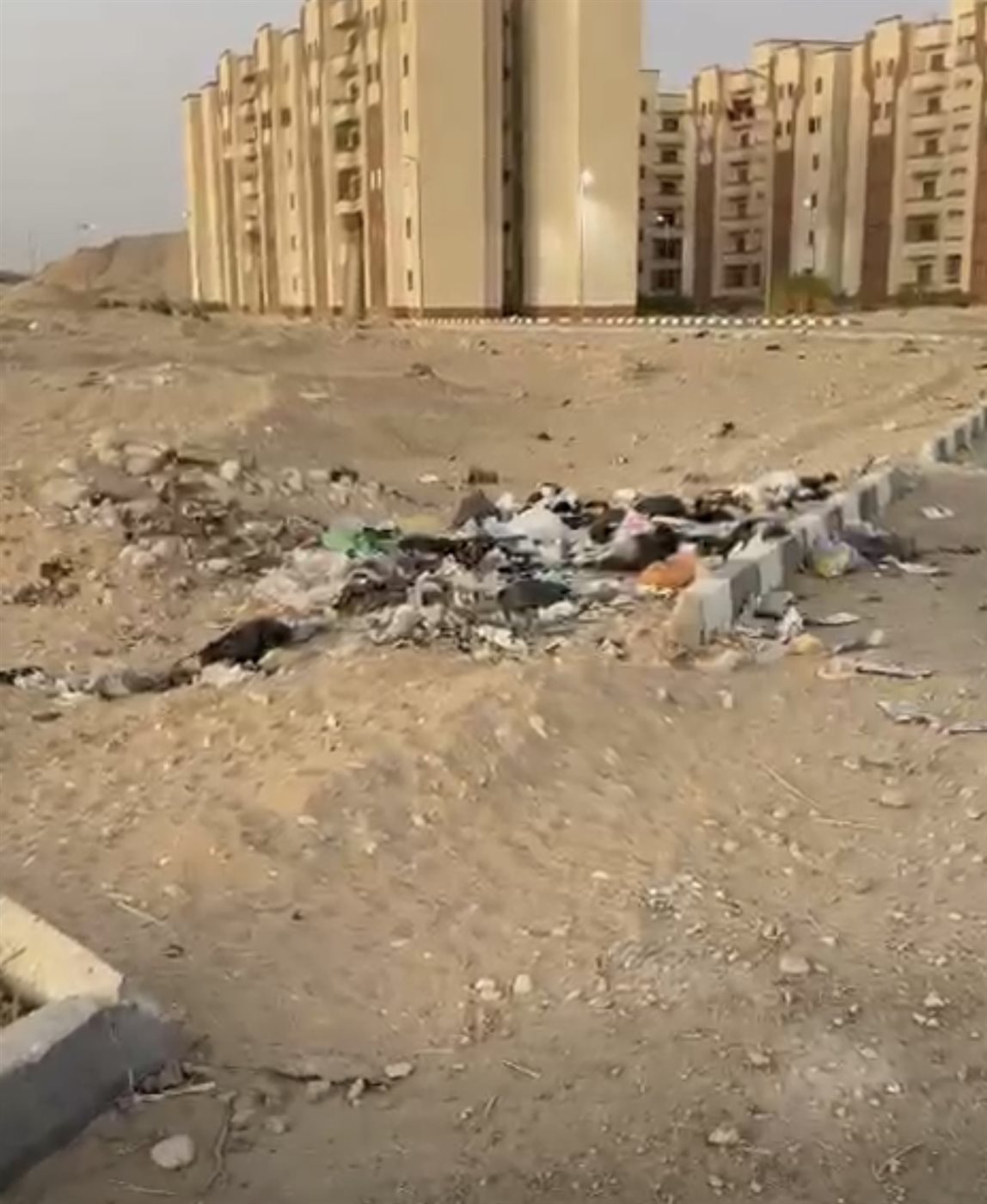 غياب تام لصناديق القمامة بالمدينة