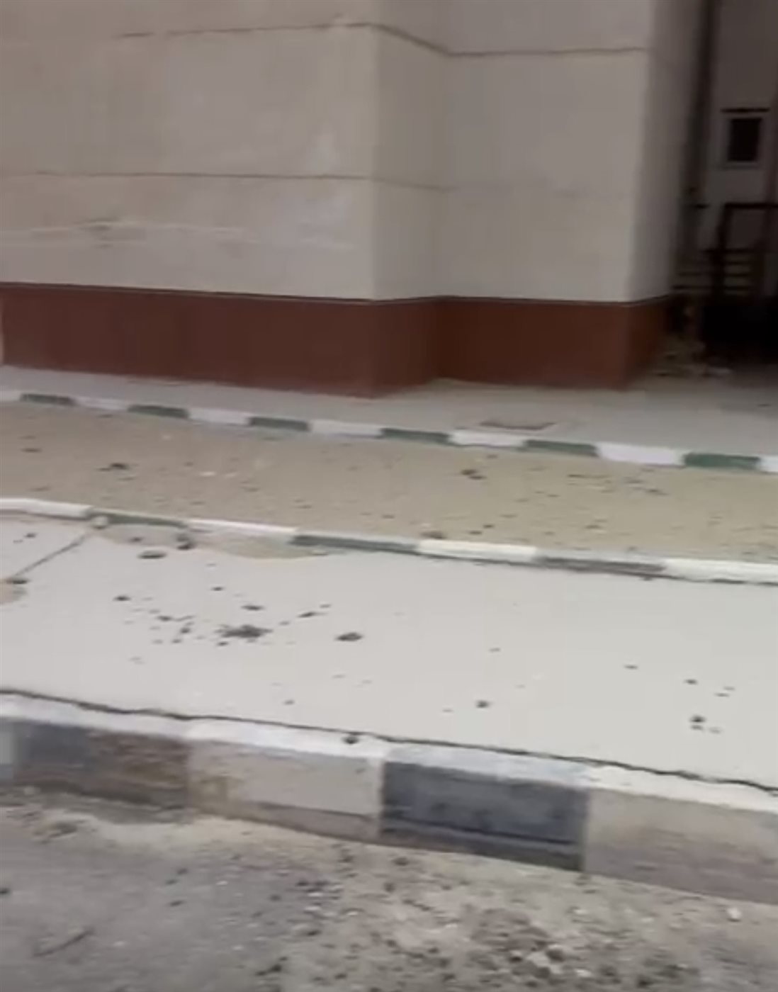 أحواض للزرع بلا خضار&nbsp;