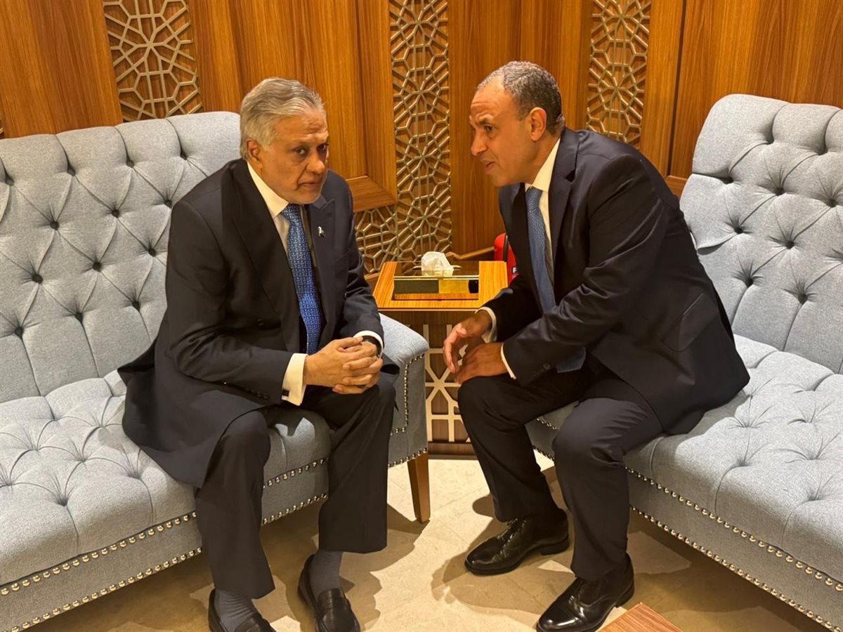 د. بدر عبد العاطي وزير الخارجية وووزير خارجية جمهورية باكستان الإسلامية