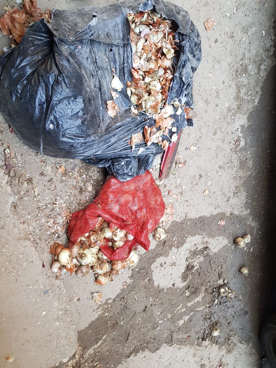 ما تبقى من مطعم التجهيز بعد الحريق