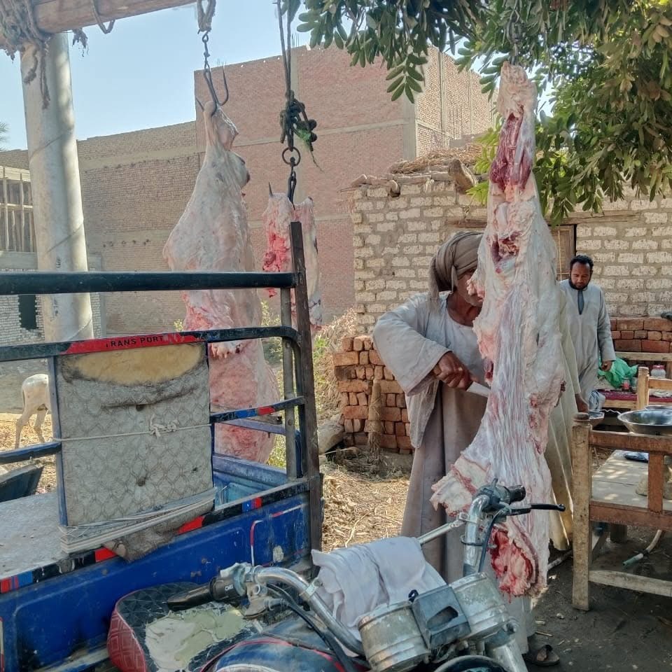 حملات تموينية مكثفة&nbsp;