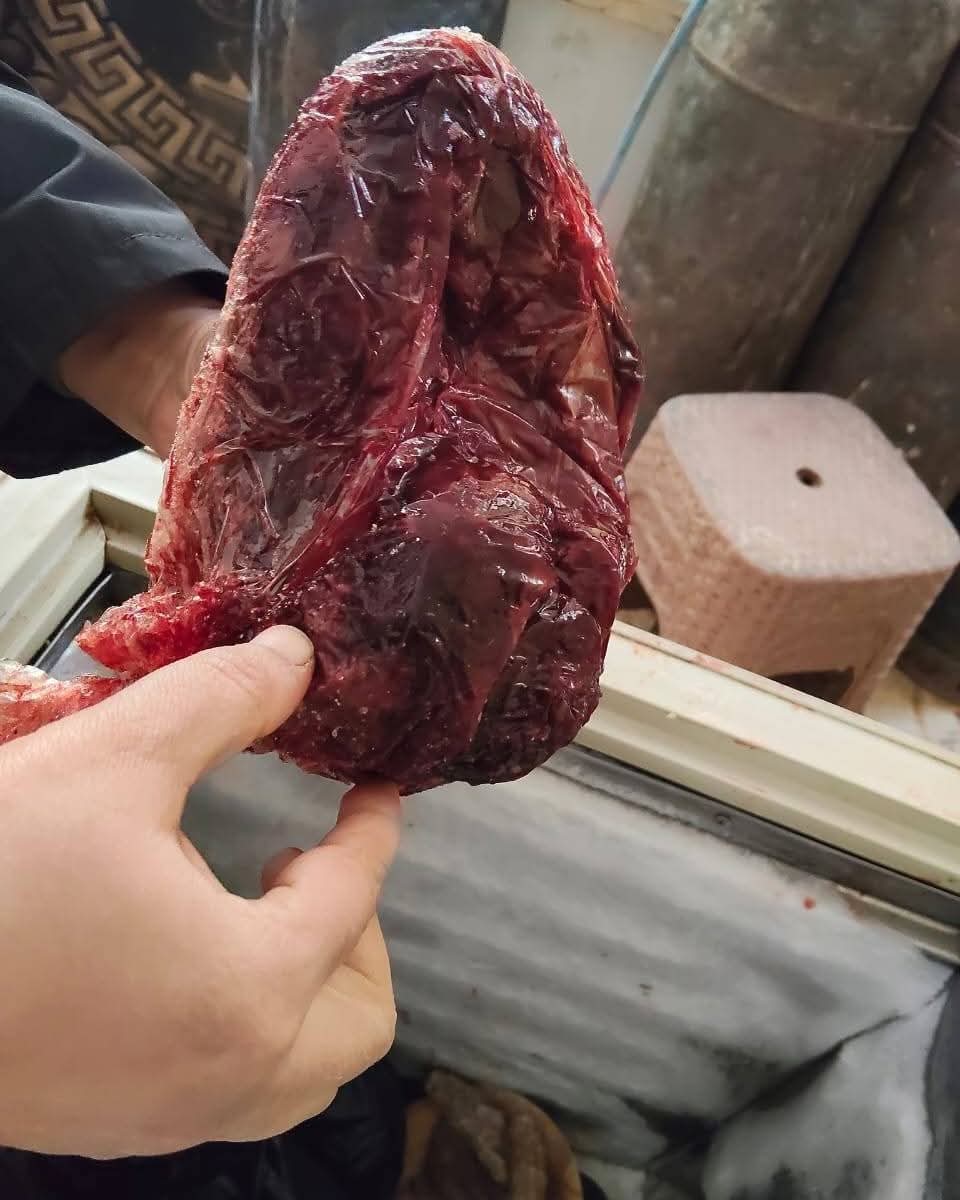 ضبط لحوم غير صالحة للاستهلاك بالغردقة 