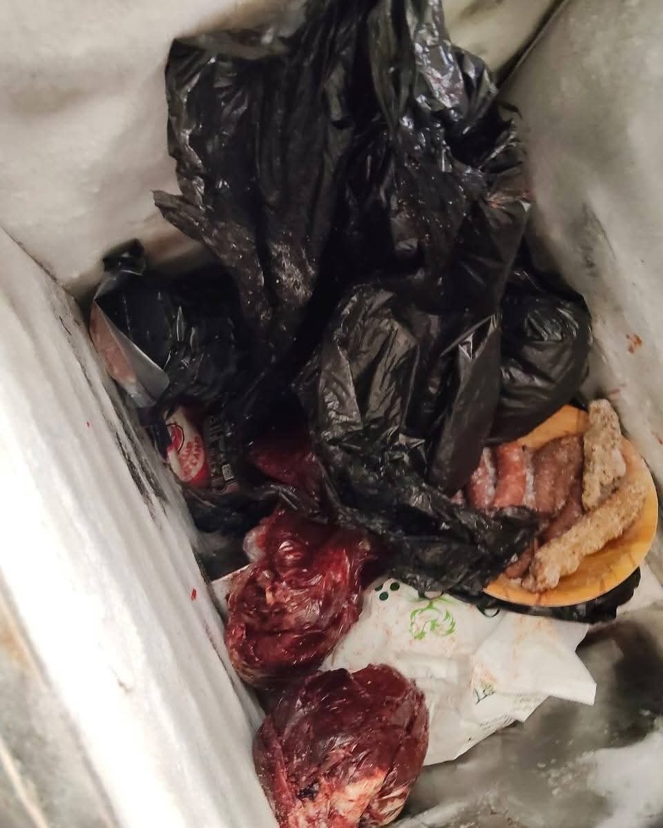 ضبط لحوم غير صالحة للاستهلاك بالغردقة 