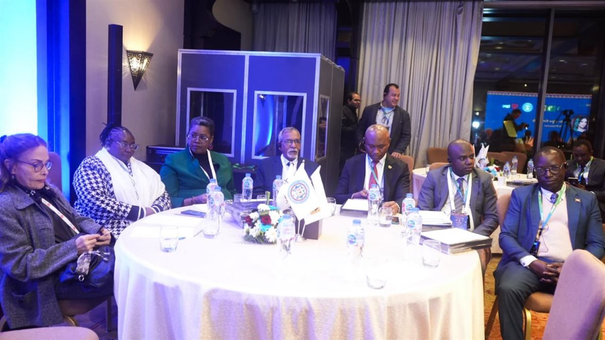 مؤتمر جمعية رجال الأعمال المصريين الأفارقة مع إي تاكس