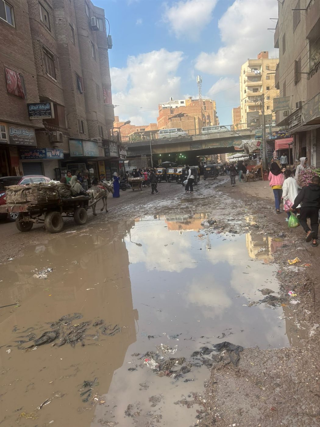 جانب من الواقعة