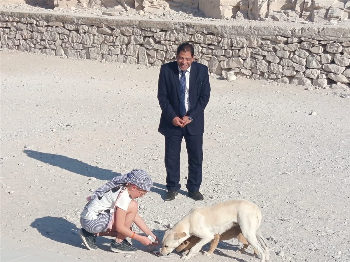 تحصين الكلاب بالمناطق الأثرية بالأقصر