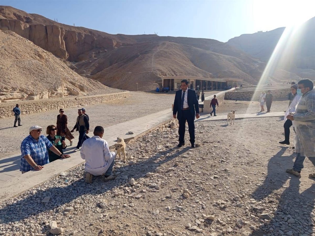 تحصين الكلاب بالمناطق الأثرية بالأقصر