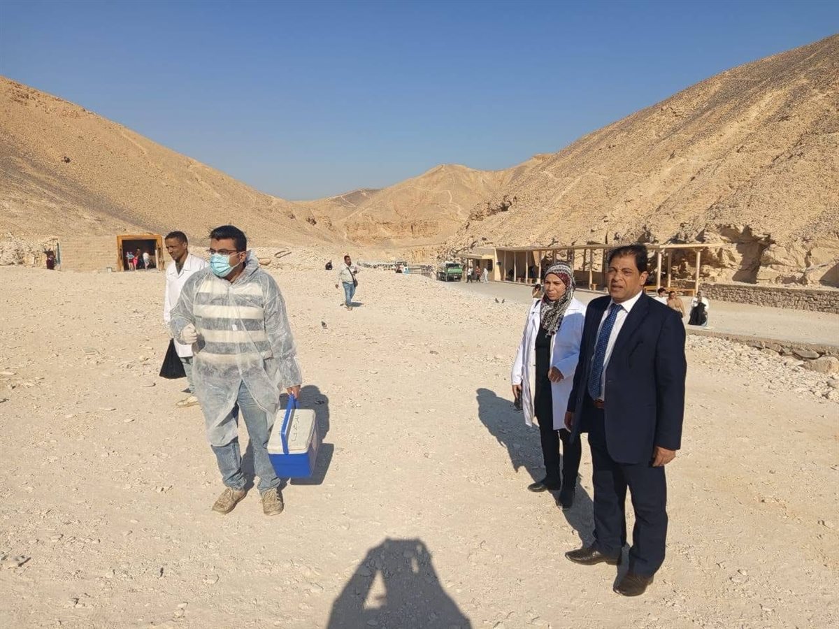 تحصين الكلاب بالمناطق الأثرية بالأقصر