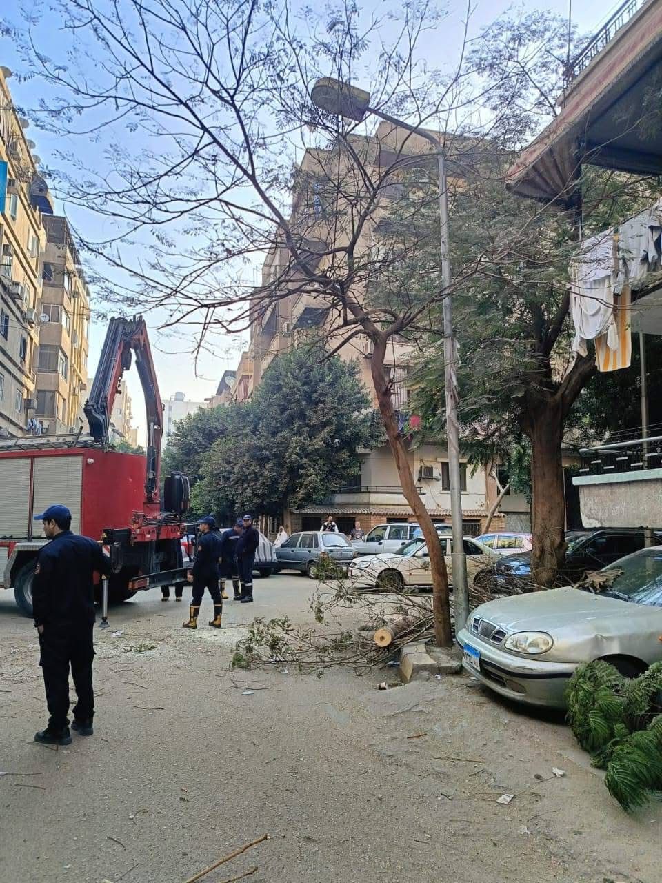 حي العجوزة يستعين بونش الحماية المدنية للتعامل مع سقوط شجرة بشارع شاهين