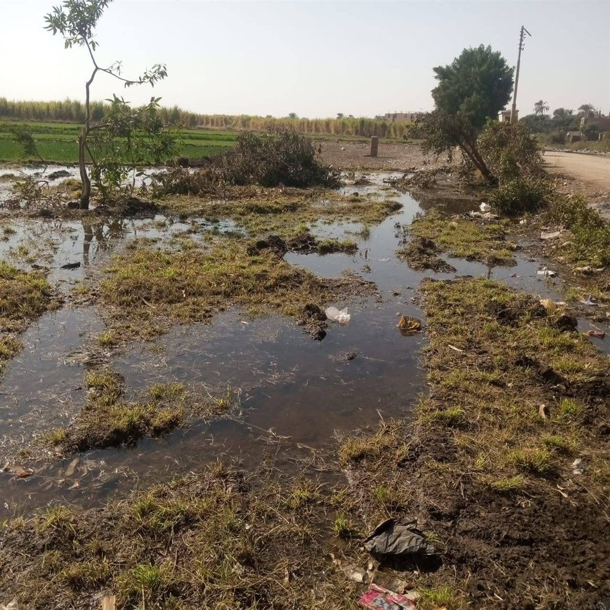 رصد التعدي على أرض المدرسة&nbsp;