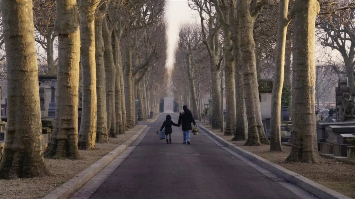 كواليس الحياة بعد سهام