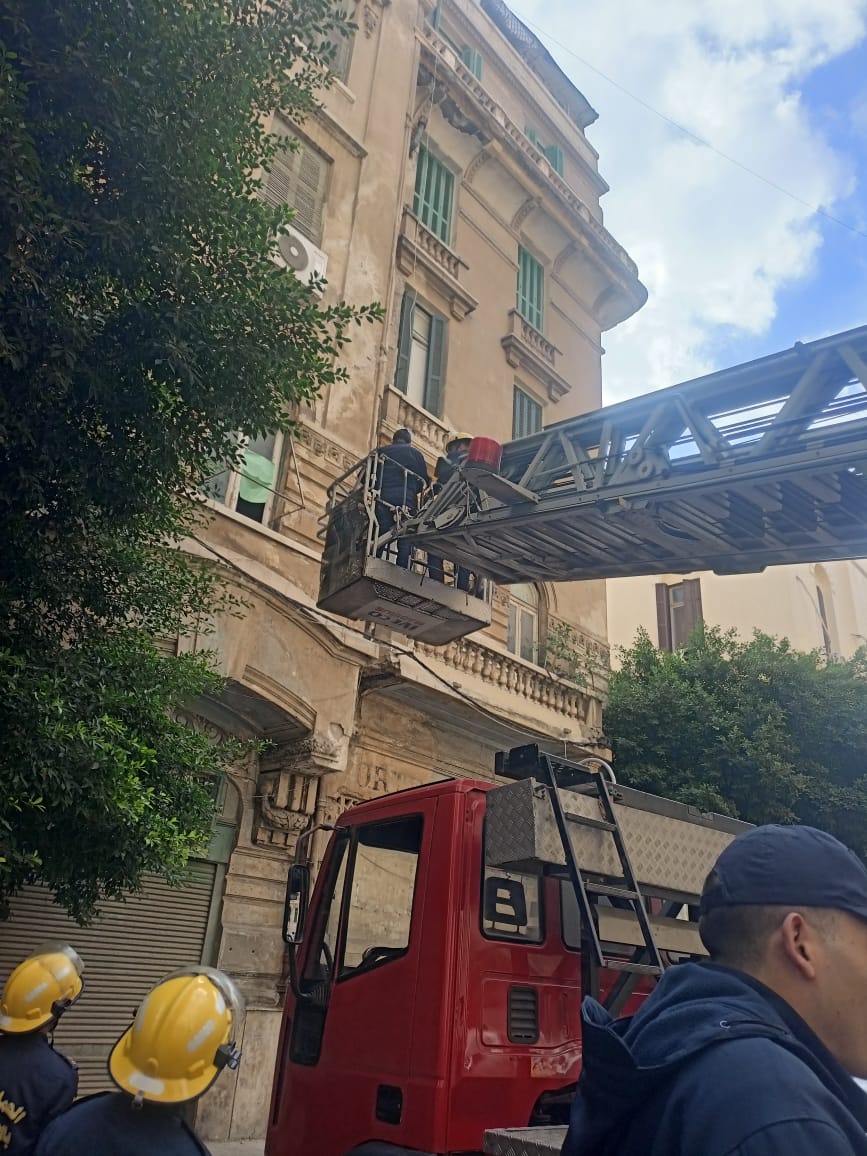 البيئة تقوم تسلم الطيور المعرضة للمخاطر لحديقة الحيوان