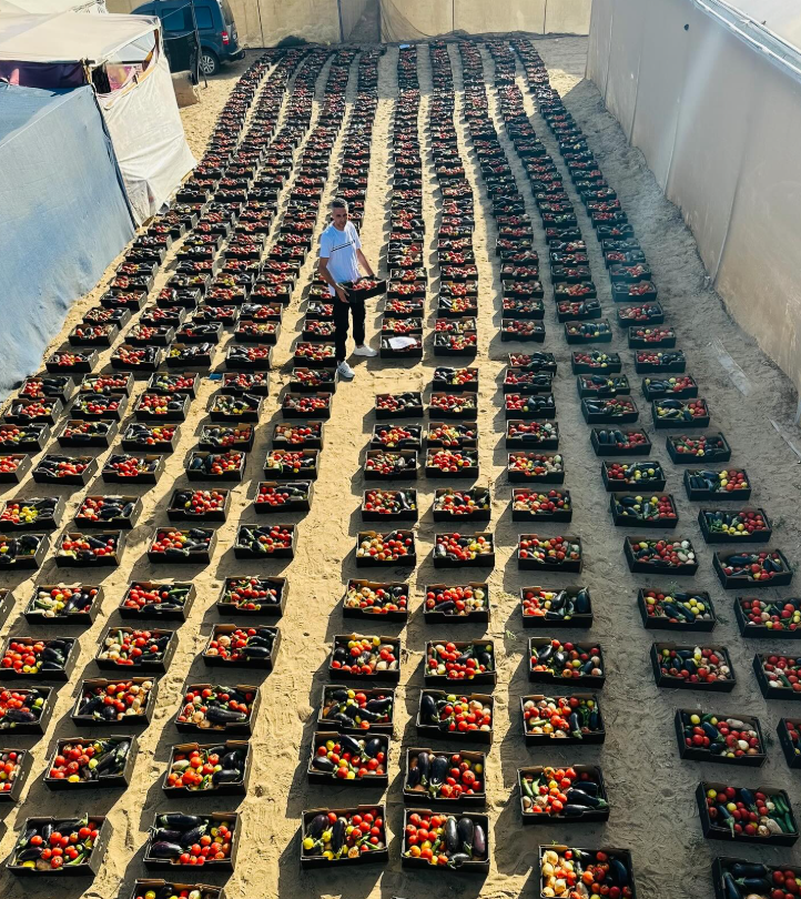 الشهيد محمد قشطة خلال توثيق تجهيز كراتين من الخضروات الطازجة للنازحين في غزة