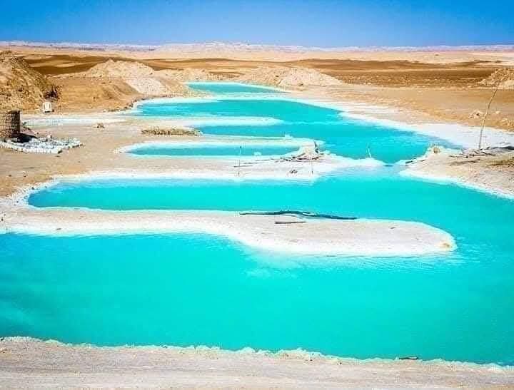 FB_IMG_1769114811091